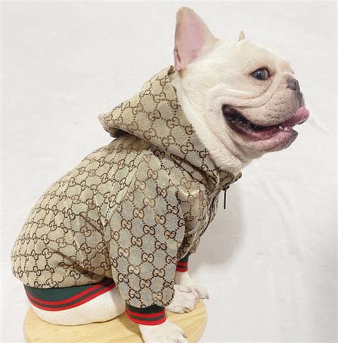 gucci hoodie for dogs